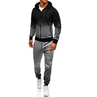 Clearance On Sale Litetao Men Athletic Tracksuit Patchwork Graduated Print Sweatshirt & Pants Sets Hoodie Suit (L, Gray (Set))