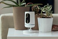 Vivint Smart Home Ping Countertop Video Camera, Compatible with alarm.com V-CAM1 Security/Surveillance Indoor. First Indoor Camera With Two-Way Talk With One-Touch Callout