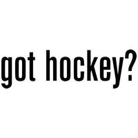 Got Hockey? Decal Sticker (Black), Decal Sticker Vinyl Car Home Truck Window Laptop