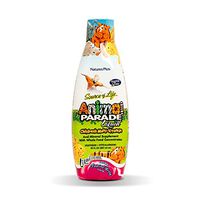 NaturesPlus Animal Parade Source of Life Children's Liquid Multivitamin (2 Pack) - Tropical Berry Flavor - 30 fl oz - Whole Food Supplement - Vegetarian, Gluten-Free - 120 Total Servings