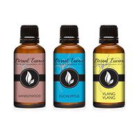 30ML - Trio (3) - Sandalwood, Eucalyptus & Ylang Ylang - Premium Fragrance Oil Trio - 30ML