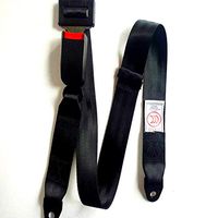 LRWSB Simple Two-Point Safety Belt Polyester General Safety Belt Entertainment Equipment Entertainment Safety Rope Two-Point Protective Belt