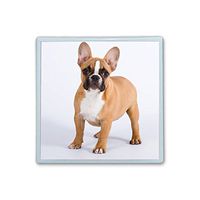 Contact Lens Box Holder Container Case Storage Eyecare Kit - Cute France Dog