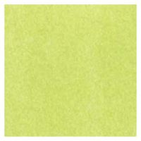 The Gift Wrap Company Solid Gift Tissue, Lime (145AMZ-27)