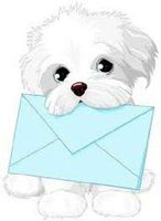 HotSaleStore Sticker Seals 48 Super Cute White Maltese Puppy!!! Sticker Label Envelope Seals 1.2" Round