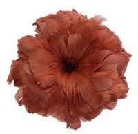 Zucker Feather (TM) - Goose Coquille Feathers Dyed - Copper