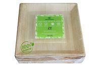 Natural Leaf Plates (25 cm)- Areca Leaf Plates, Premium Quality, Eco-friendly, Zero-Waste, Disposable Plates; Dinnerware; Outdoor Plates; Paper Plate Alternative(25 Pack) (25, 25 cm Square)