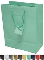 Novel Box® Aqua Matte Laminated Euro Tote Paper Gift Bag Bundle 8"X4"X10" (10 Count) + NB Cleaning Cloth
