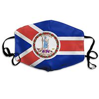 TDynasty Virginia State Flag Unisex Mouth Mask Surgical Masks Half Face Earloop for Outdoor Cycling
