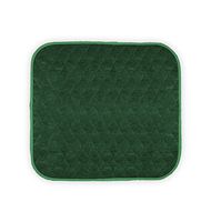 Americare Absorbent Washable WaterproofSeat Protector Pads 21”x22” - Green