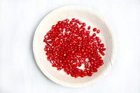 Ridyaa Palm Leaf Plates(8" Round Plate 250 Count)–Natural,Biodegradable,Disposable,Eco friendly Dinnerware–Upscale and affordable;Use for any occasion– 100% Compostable