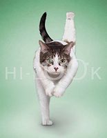 Hi-Look Microfiber Cleaning Cloth - Babs