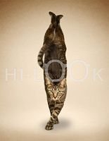 Hi-Look Microfiber Cleaning Cloth - Stalone Handstand