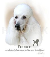 Hi-Look Microfiber Cleaning Cloth, dog design - Poodle