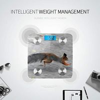 LYAOE Bluetooth Body Fat Scale Hurry Furry Red Squirrel Running On Smart Wireless Scale with LCD Display Measuring Body Weight Bmi and Health Digital Scale