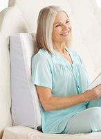 Dual Position Wedge One Color 22"L x 19"W x 12"H