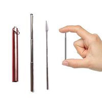 SAISN Straws Drinking Reusable Telescopic Stainless Steel Straw Portable with Key Ring Case & Cleaning Brush (Rose Gold)