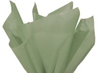 Pack of 480, Solid Jade Tissue Paper 20 x 30" Sheet Flat Ream Made From 100% Post Industrial Recycled Fibers, Made in USA
