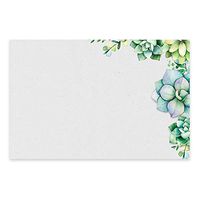 Succulents Note Cards, A6, 4 x 6 inches, The Gift Collection, Set of 48