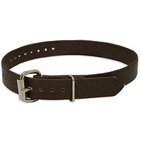 Buckingham 2639 Single Piece Climber Strap