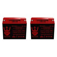 Jump N Carry JNC1224 12V 22Ah SLA Replacement Jumper Starter Battery by Neptune - 2 Pack