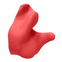 Radians Custom Molded Earplugs, Red 2-Pack