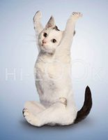 Hi-Look Microfiber Cleaning Cloth - Candy Lotus