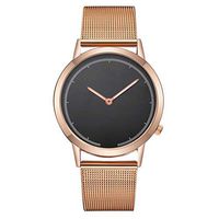 Fxbar,Mens Minimalist Milanese Mesh Band Business Wristwatch Quartz Analog Wrist Watch Dress Watch(C)