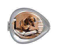 Dachshund Professor Reading Books Custom Silver Oval Pill Box Pocket Purse Pill Case Medical Tablet Holder Weekly Pill Organizer Decoration Box Wallet