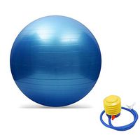 Zebratown 33.5inch Anti-Burst Core Exercise Ball Massage Yoga Ball Anti Burst Swiss Core Ball (Blue)