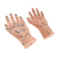 MagiDeal Pair of PVC Human Chinese Acupuncture Point Meridian Right Left Hand Model Teaching Education Tool Acupuncture Points Labeled in Chinese.