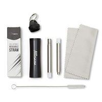Collapsible Stainless Steel Straw with Travel Case (Black)