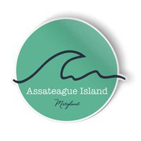 Squiddy Assateague Island Maryland Wave - Vinyl Sticker Decal for Phone, Laptop, Water Bottle (2.5" high)