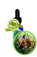 Clove Leaf Essential Oil - Syzygium aromaticum - 120ml (4oz)