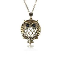 AKOAK 5X Portable Vintage Magnifying Glass Pendant Necklace for Library,Reading Fine Print,Zooming,Increase Vision,Jewelry and Gift (Owl)