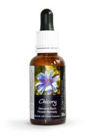Chicory Bach Flower Remedy Large 30ml. Genuine Traditionally Made Essence