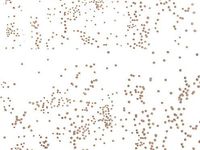 ADT_INK Excellent Clear Cello 3 Rolls Cellophane Gold Sprinkles Gift Basket Florist Wrap 300 Feet