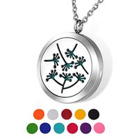 HOUSWEETY Aromatherapy Essential Oil Diffuser Necklace-Stainless Steel Locket Pendant,11 Refill Pads(Engraving)