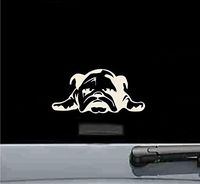 JS Artworks English Bulldog Puppy Vinyl Decal Sticker (Beige)