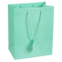 10 pcs Large Fancy Robin's Egg Blue Glossy Finish Shopping Paper Gift Sales Tote Bags with Blank Message Tag 7.75" x 4" x 9.75"
