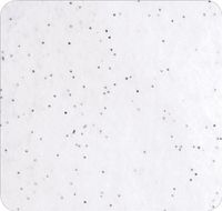 Jillson Roberts 24 Sheet-Count Gemstone Holographic Fleck Tissue Paper Available in 12 Colors, White
