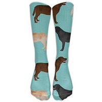 Cute Labradors Yellow Chocolate Black Lab Pet Dogs Knee High Graduated Compression Socks For Women And Men - Best Medical, Nursing, Travel & Flight Socks - Running & Fitness