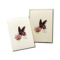 Earth Sky + Water - Spicebush Swallowtail Notecard Set - 8 Blank Cards with Envelopes