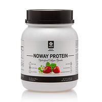 ATP Science Noway Protein Workout Supplement, Superior Collagen Powder, 100% All Natural Muscle Builder and Recovery Formula, Helps Muscular Gains & Fat Loss; Gluten Free, Dairy Free (Strawberry)