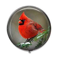 Cardinal Bird - Charm Bird Art Photo Pill Box - Charm Pill Box - Glass Candy Box