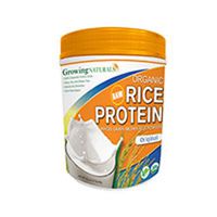 Growing Naturals Organic Rice Protein Original - 1 lb (5 Pack) by Growing Naturals