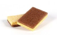 Full Circle In a Nutshell Walnut Scrubber Sponges, Non-Scratch, Set of 2 (Pack of 6)