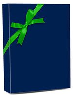 24" X 15' Navy Gloss Gift Wrap