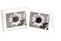 JS Designs Gray Brightness Blank White Note Card (5.5" x 4.25") Pack of 6, Comes with White Envelope, Printed in USA Sunflower Flower Grayscale Spring Summer