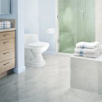 Toilevator Toilet Riser (Standard)